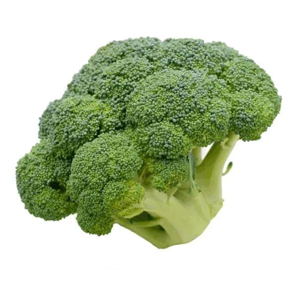 HORTALIÇA BRÓCOLIS CHINÊS WP FJ HORTII 250G