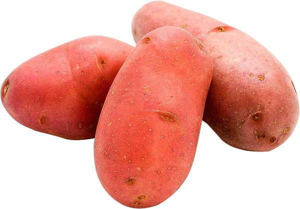 TUBERCULO BATATA ASTERIX KG