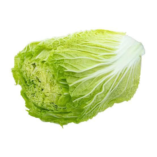 ACELGA KG kg