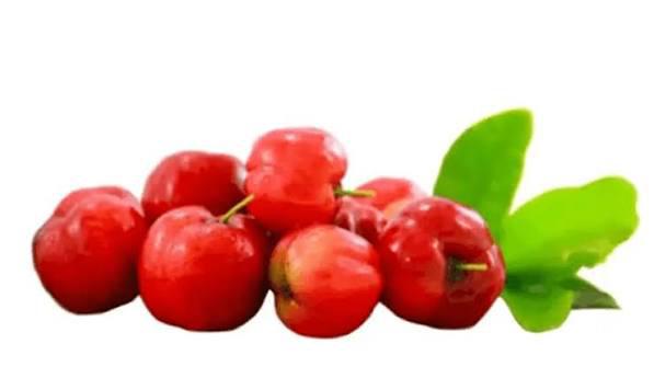 ACEROLA KG kg