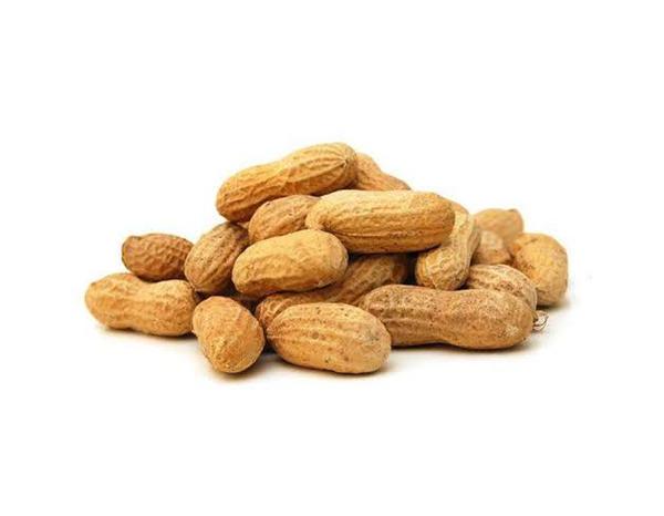 AMENDOIM C/CASCA 250G