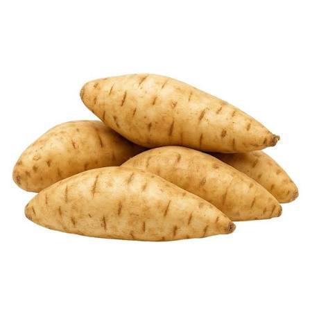 BATATA DOCE BRANCA KG kg