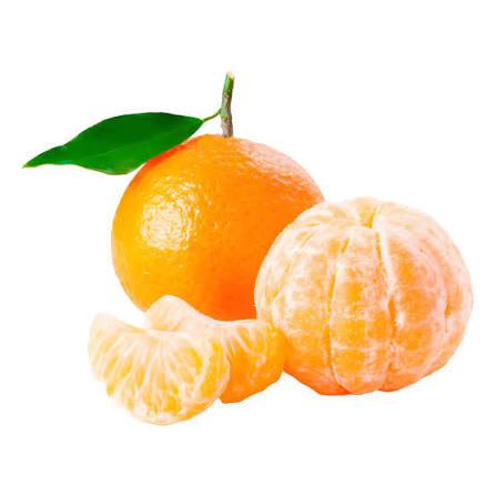 LARANJA MURCOTE KG kg