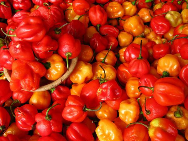 PIMENTA DE CHEIRO KG kg