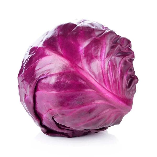 REPOLHO ROXO KG kg