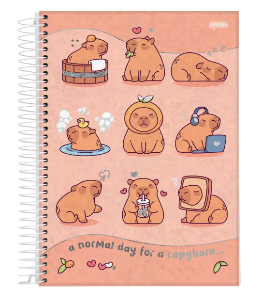 CADERNO JANDAIA ESPIRAL 10M 160FLS CAPYV