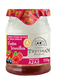IOGURTE INTERG TREVISAN 170G FRUTAS VERM