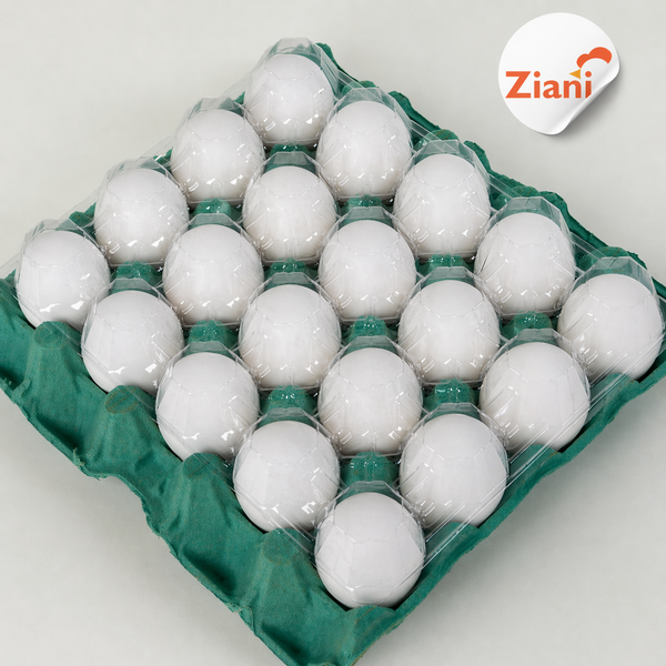 OVOS GRANJA BRANCO ZIANI 20UN