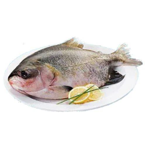 PEIXE TAMBATINGA KG