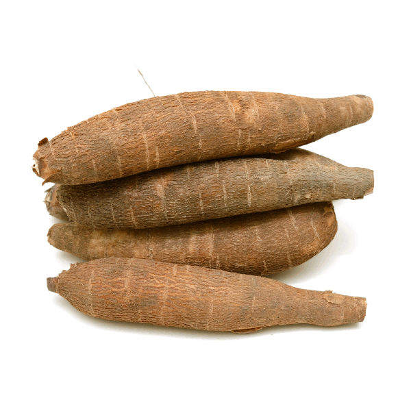 MANDIOCA CACAU KG