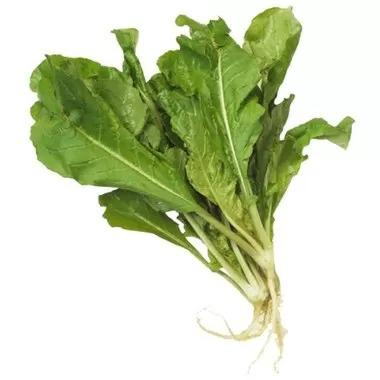 MOSTARDA VERDE UN