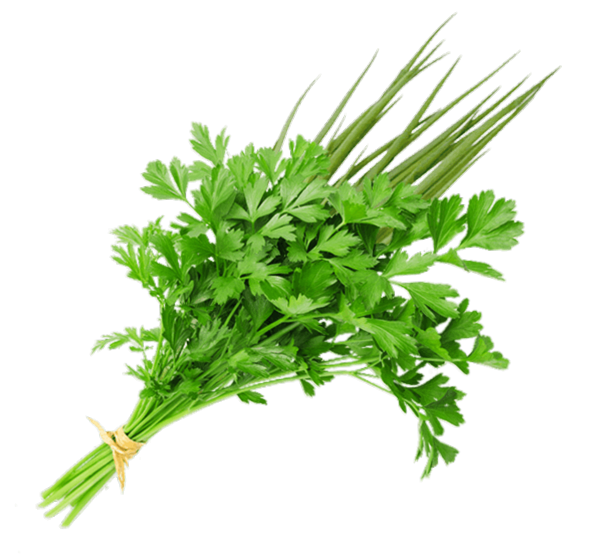 Cheiro Verde Unidade