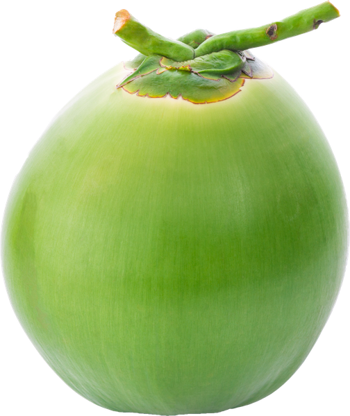 Coco Verde Unidade