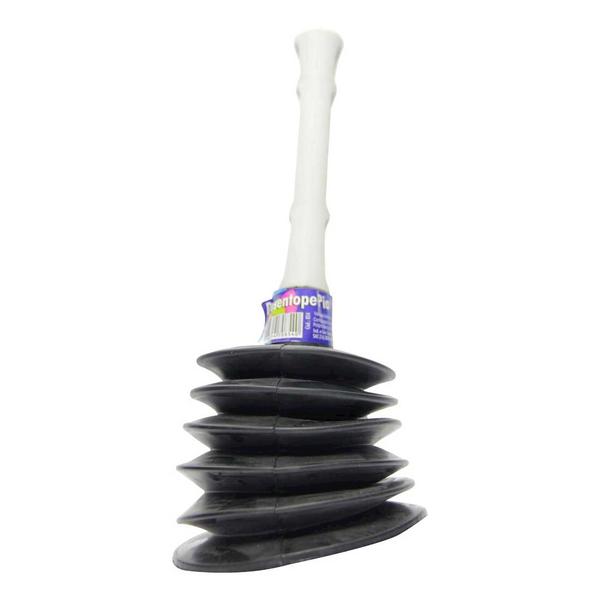 DESENTUPIDOR SANTA MARIA PIA