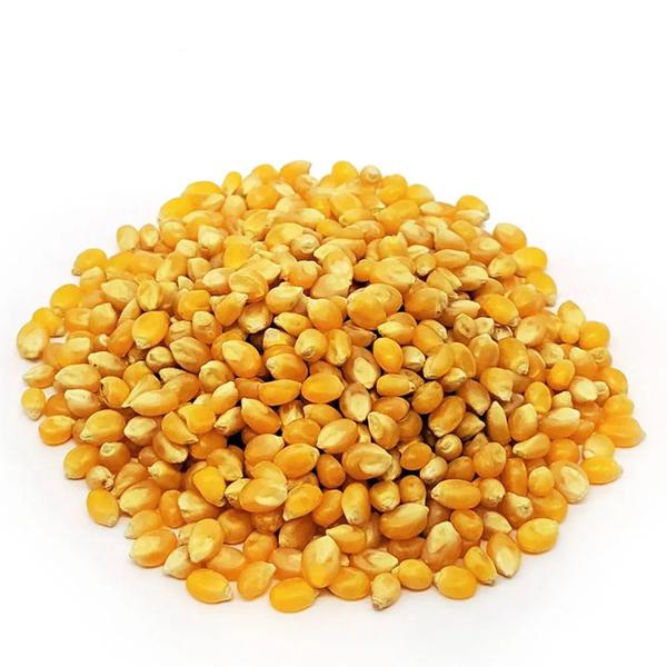 PIPOCA KODILAR 5000 KG