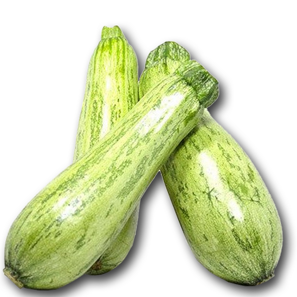 ABOBRINHA ITALIANA