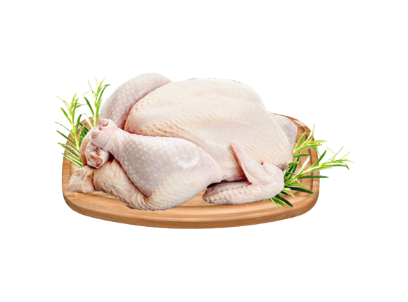 FRANGO RESFRIADO KG