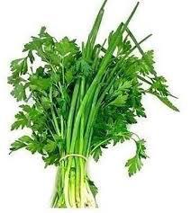 CHEIRO VERDE UN