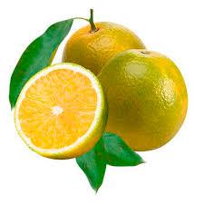 LARANJA PERA RIO KG