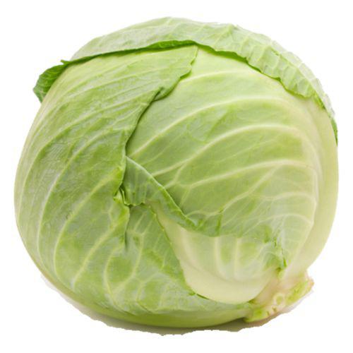REPOLHO VERDE KG
