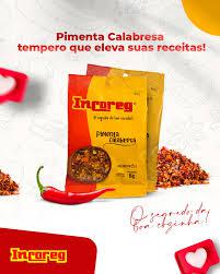 TEMPERO INCOREG 300GR CMP S PIMENTA P