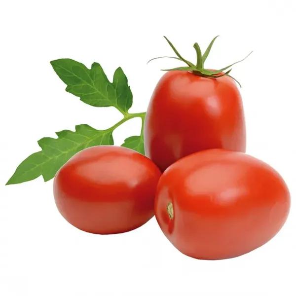 TOMATE ITALIANO KG