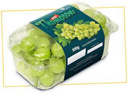 UVA THOMPSON 500GR BANDEJA