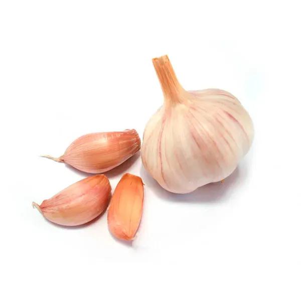 ALHO KG