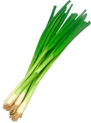 CEBOLINHA UND