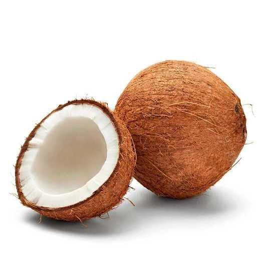 COCO SECO UND