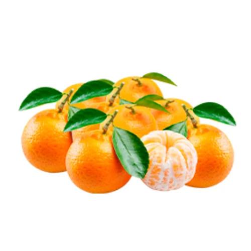 TANGERINA MURCOTE KG