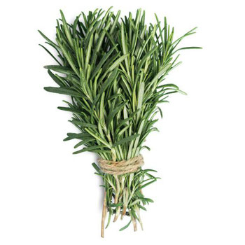 ALECRIM HORTALIÇAS D'TERRA UNIDADE