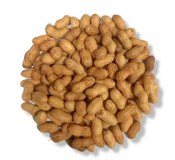 AMENDOIM HORTALIÇAS D'TERRA TORRADO COM CASCA 500G