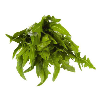 CATALONIA HORTALIÇAS D'TERRA UNIDADE