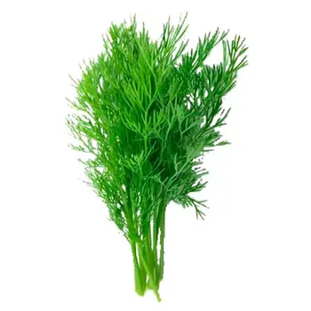 ERVA DOCE HORTALIÇAS D'TERRA UNIDADE