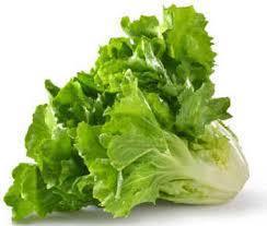 ESCAROLA HORTALIÇAS D'TERRA UN