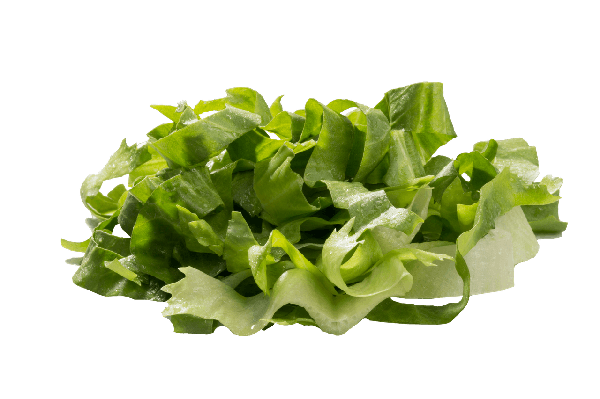 ESCAROLA PRATIC FATIADA 150G