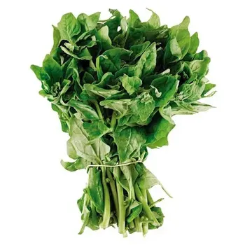 ESPINAFRE HORTALIÇAS D'TERRA UNIDADE