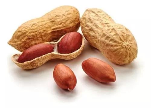 FLV AMENDOIM TORRADO 500G C/CASCA D