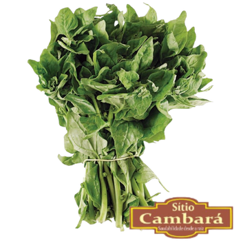 FLV ESPINAFRE SITIO 250G ORGÂNICO