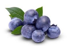 MIRTILO BANDEJA 125G