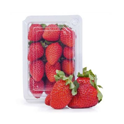 FLV MORANGO 200G BDJ DIVERSOS