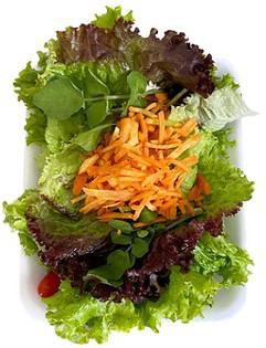 FLV SALADA VERDE DA TERRA HIGIENIZADA 150G