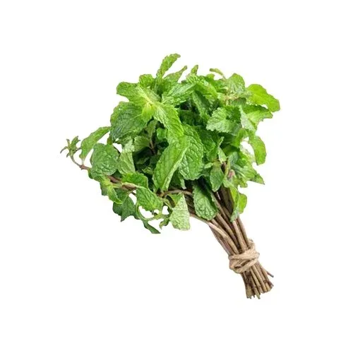 HORTELÃ HORTALIÇAS D'TERRA UNIDADE