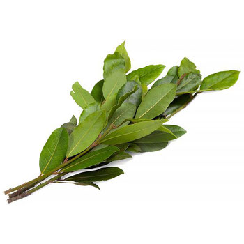 LOURO HORTALIÇAS D'TERRA UNIDADE