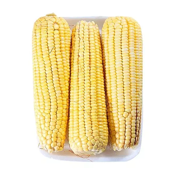 MILHO VERDE HORTALIÇAS D'TERRA 900G