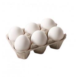 OVOS BONJI BRANCO C/06 EXTRA
