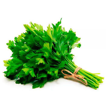 SALSA HORTALIÇAS D'TERRA UN