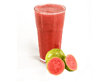 SUCO DE GOIABA C/ÁGUA 500ML