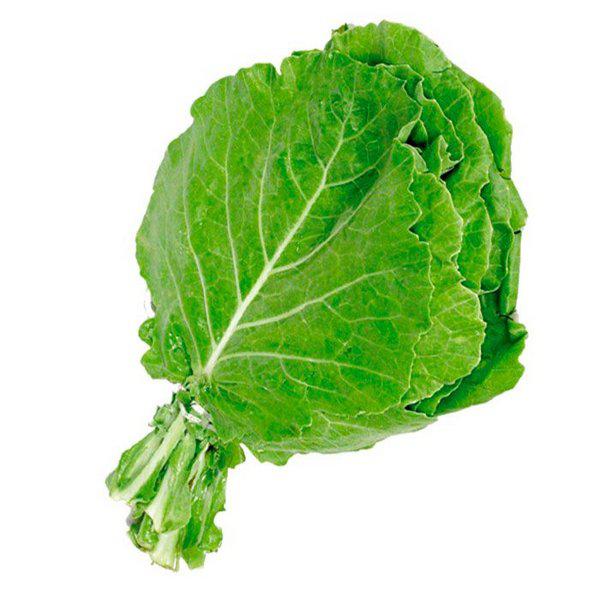 Couve Manteiga/Mineira